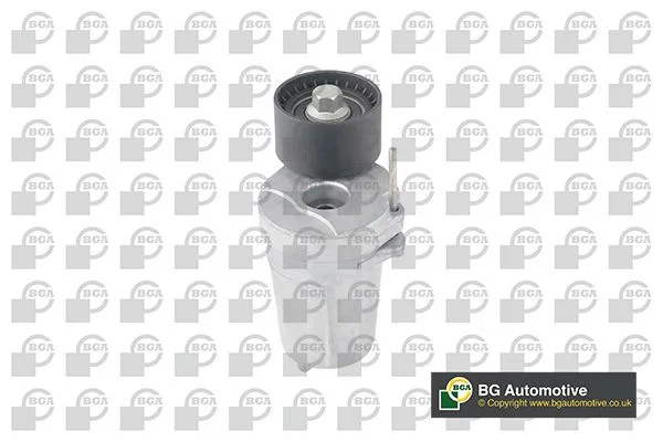 Tensioner Lever, V-ribbed belt bga DC0907