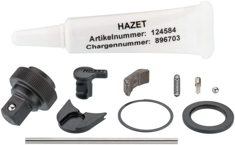 Reversinio reketo mechanizmo remonto rinkinys HAZET 863HP/11
