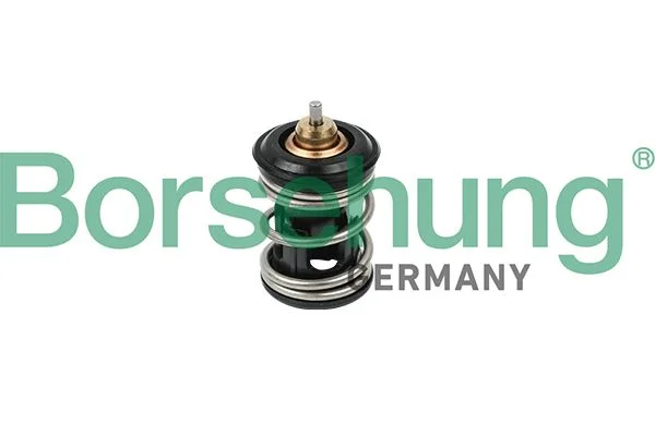 Thermostat, coolant BORSEHUNG B18261