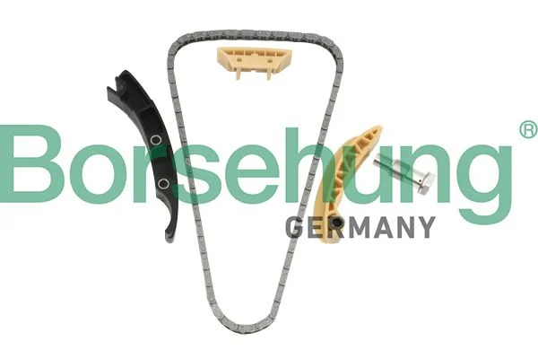 Kit de corrente de distribuição Borsehung B10208