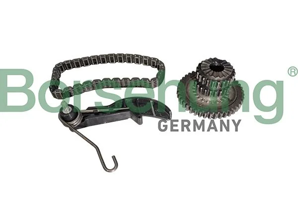 Kit de corrente de distribuição Borsehung B10218