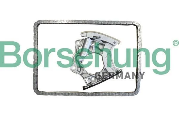 Timing Chain Kit Borsehung B10244
