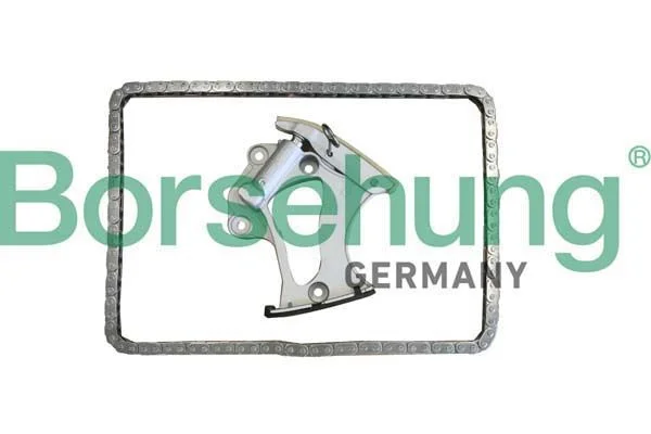 Timing Chain Kit Borsehung B10249