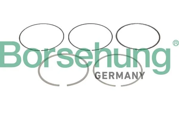 Piston Ring Set Borsehung B10361