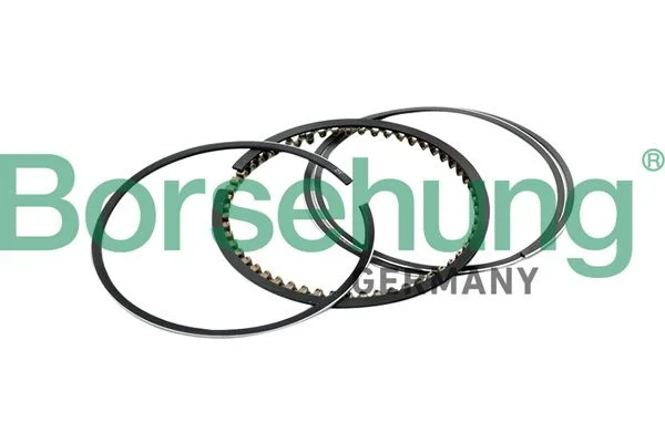 Piston Ring Set Borsehung B10367