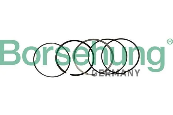 Piston Ring Set Borsehung B10369