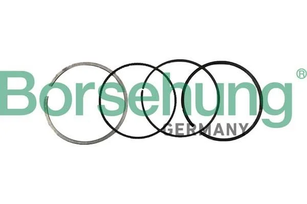 Piston Ring Set Borsehung B10370