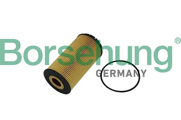 Oil Filter Borsehung B10518