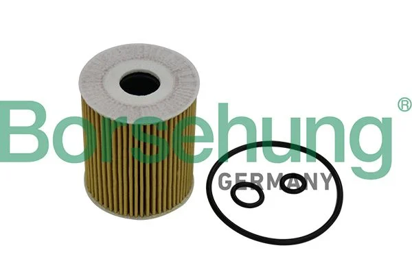 Filtro de Óleo Borsehung B10533