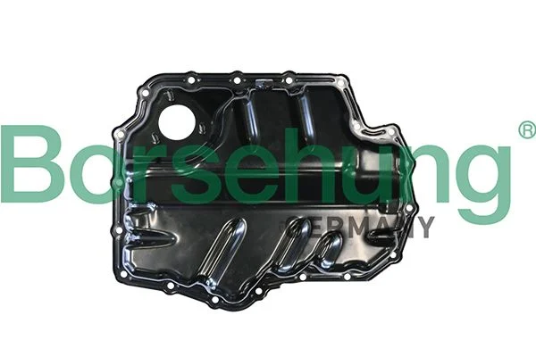 Oil Sump Borsehung B10624