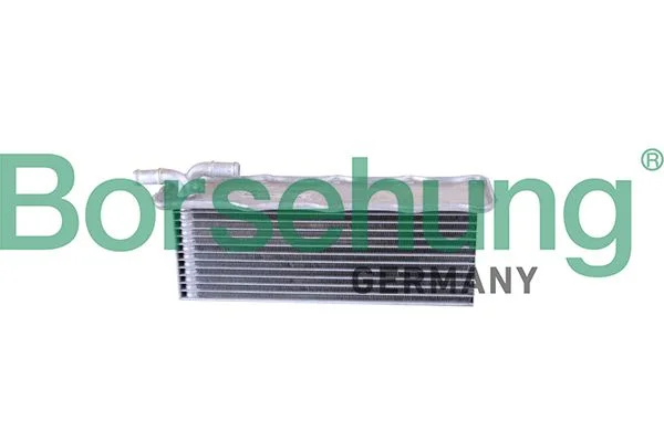 Intercooler Borsehung B10880