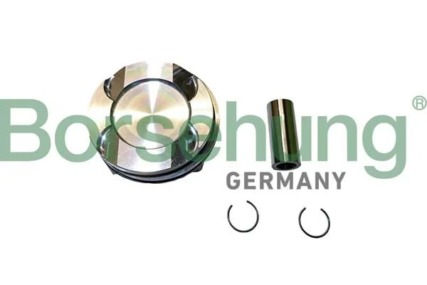 Piston Ring Set Borsehung B11146