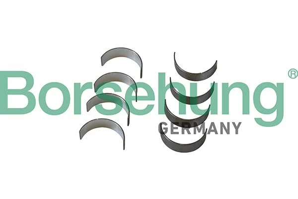 Connecting Rod Bearing Shell Borsehung B11331