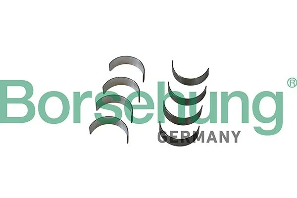 Connecting Rod Bearing Shell Borsehung B11332