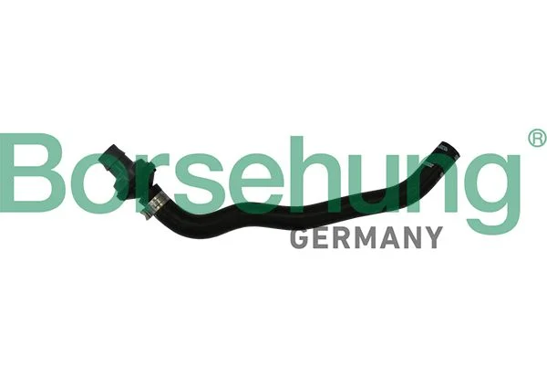 Hose, crankcase ventilation Borsehung B11971