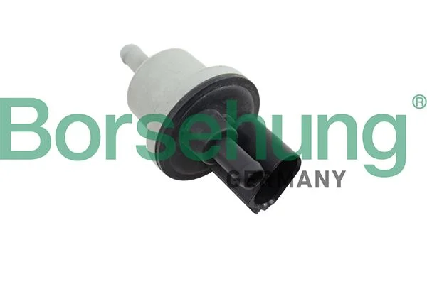 Válvula, filtro de carvão (ventilação do tanque) Borsehung B12188