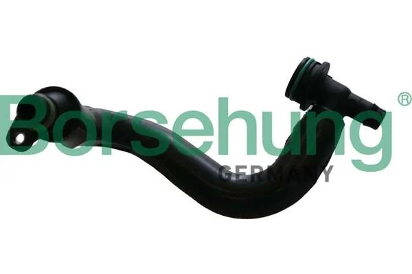 Hose, crankcase ventilation Borsehung B12306