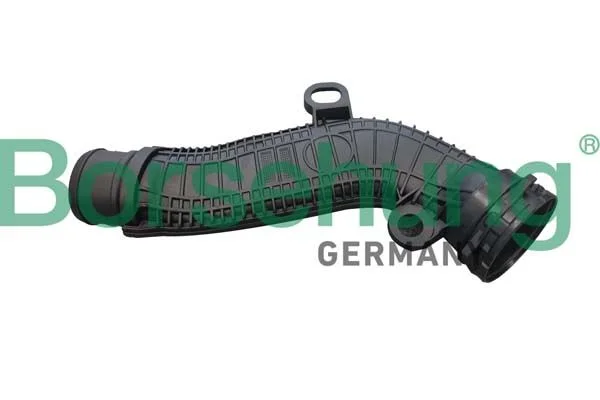 Hose, crankcase ventilation Borsehung B12348