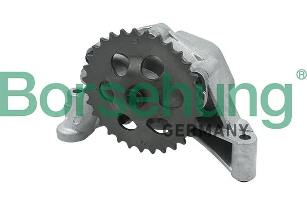 Bomba de óleo Borsehung B12689