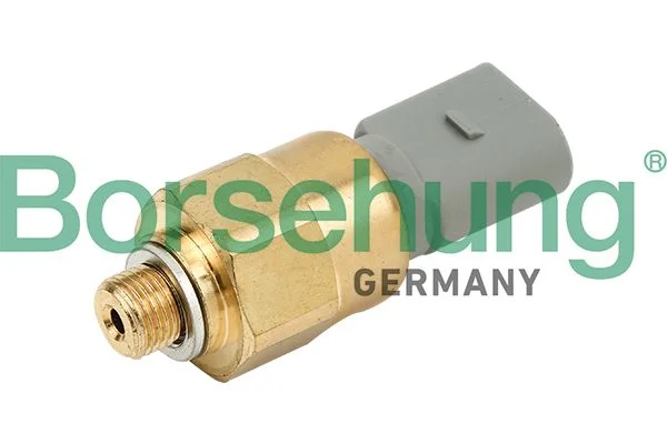 Interruptor de pressão de óleo Borsehung B13135