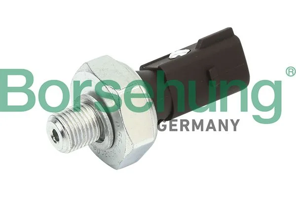 Oil Pressure Switch Borsehung B13137