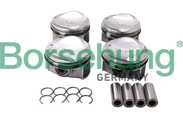 Piston Ring Set Borsehung B13584