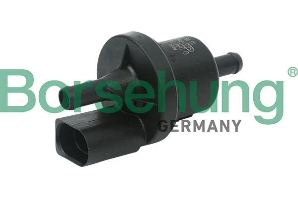 Charcoal Filter Valve Borsehung B13667