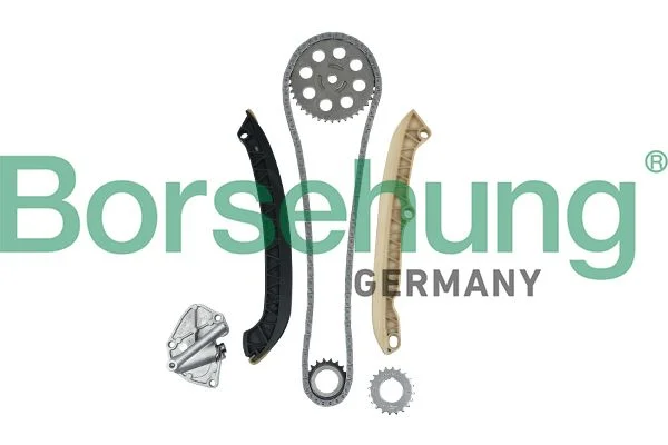 Kit de corrente de distribuição Borsehung B16294