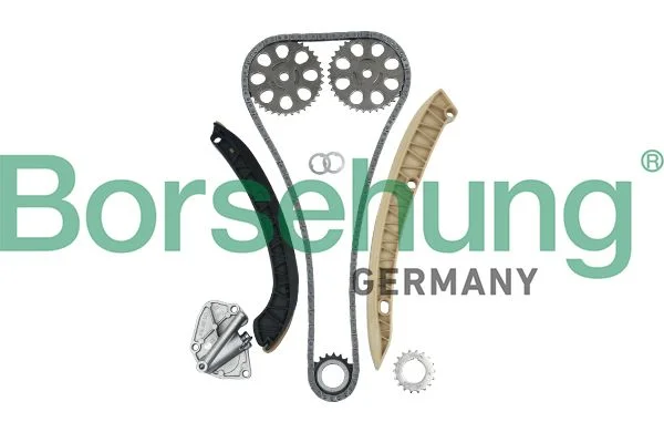 Kit de corrente de distribuição Borsehung B16295