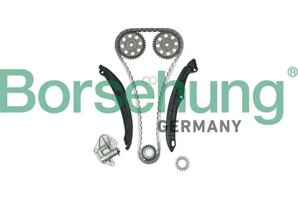Kit de corrente de distribuição Borsehung B16296