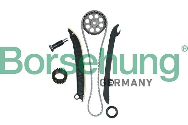 Kit de corrente de distribuição Borsehung B16297
