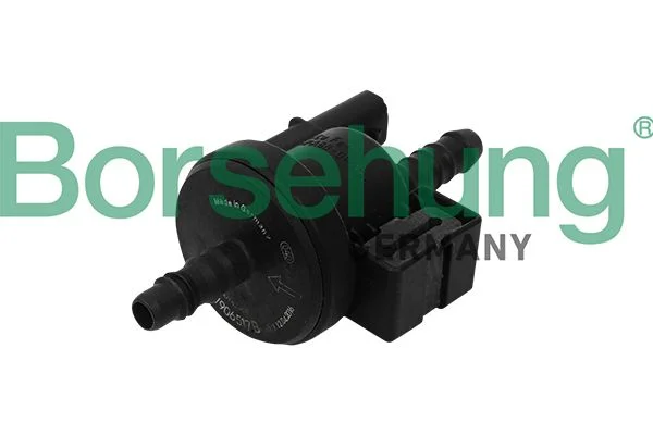 Charcoal Filter Valve Borsehung B16933