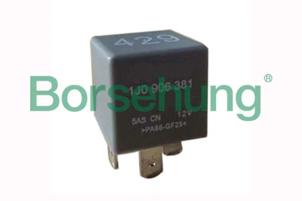 Multifunctional Relay Borsehung B17817