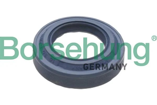 Shaft Seal, differential Borsehung B17828