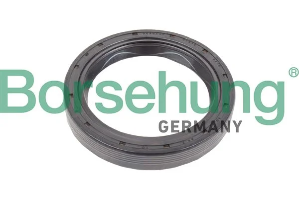 Retentor de eixo, flange da transmissão manual Borsehung B17834