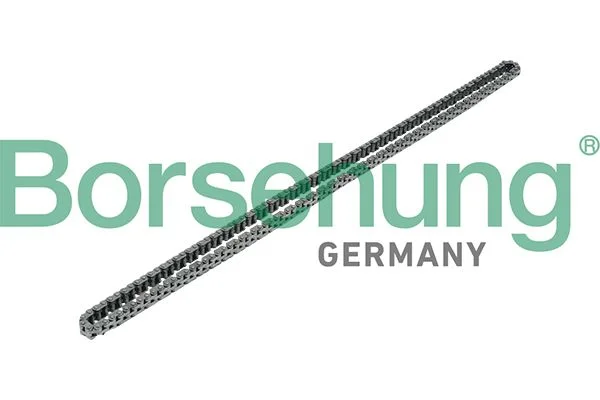 Timing Chain Borsehung B17908