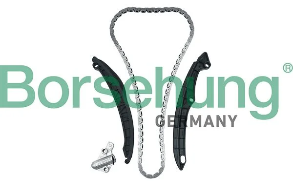 Timing Chain Kit Borsehung B17991