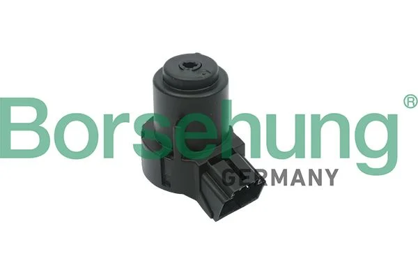 Interruptor de ignição Borsehung B17994