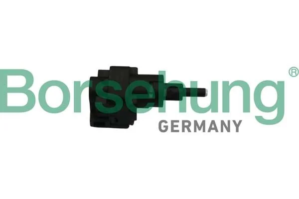 Interruptor da luz de travagem Borsehung B18009