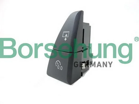 Interruptor Multifuncional Borsehung B18599