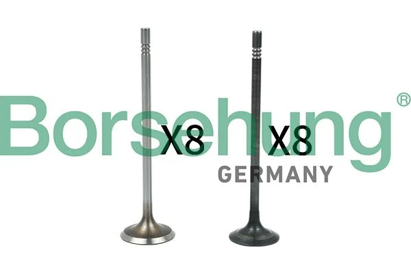 Valve Kit, intake/exhaust valve Borsehung B18631