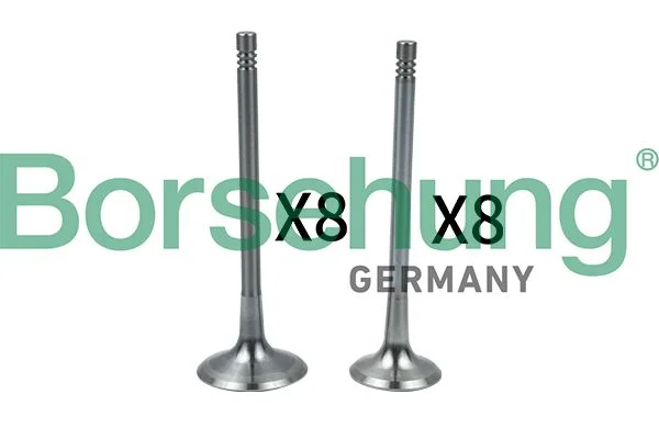 Intake Valve Borsehung B18634