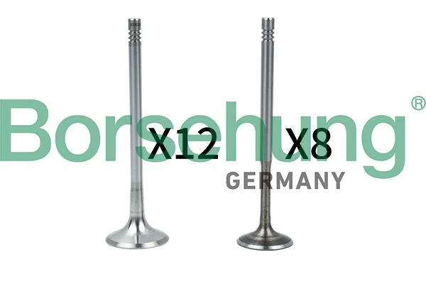 Valve Kit, intake/exhaust valve Borsehung B18636