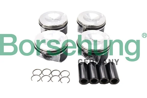 Piston Ring Set Borsehung B18741