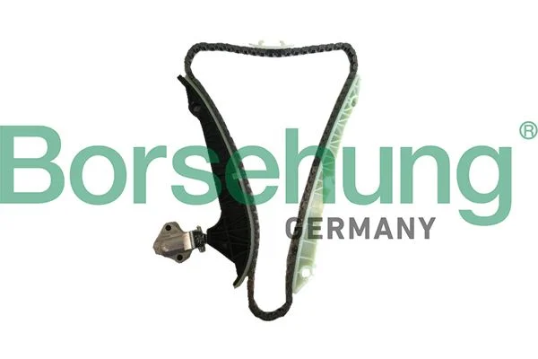 Timing Chain Kit Borsehung B18778