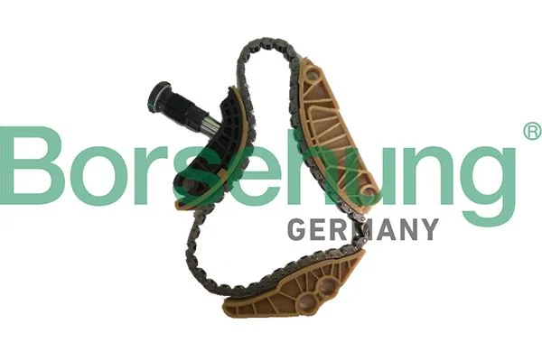 Chain Kit, oil pump drive Borsehung B18779