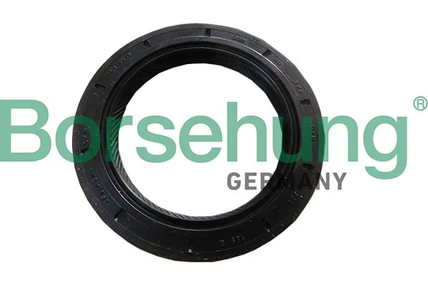 Retentor de eixo, flange da transmissão manual Borsehung B18791