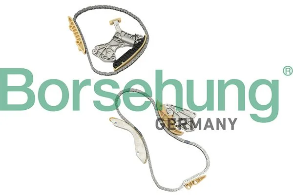 Kit de corrente de distribuição Borsehung B18844