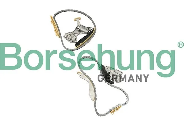 Kit de corrente de distribuição Borsehung B18845
