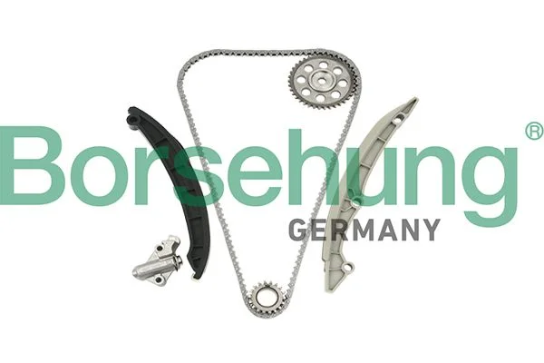 Kit de corrente de distribuição Borsehung B18960
